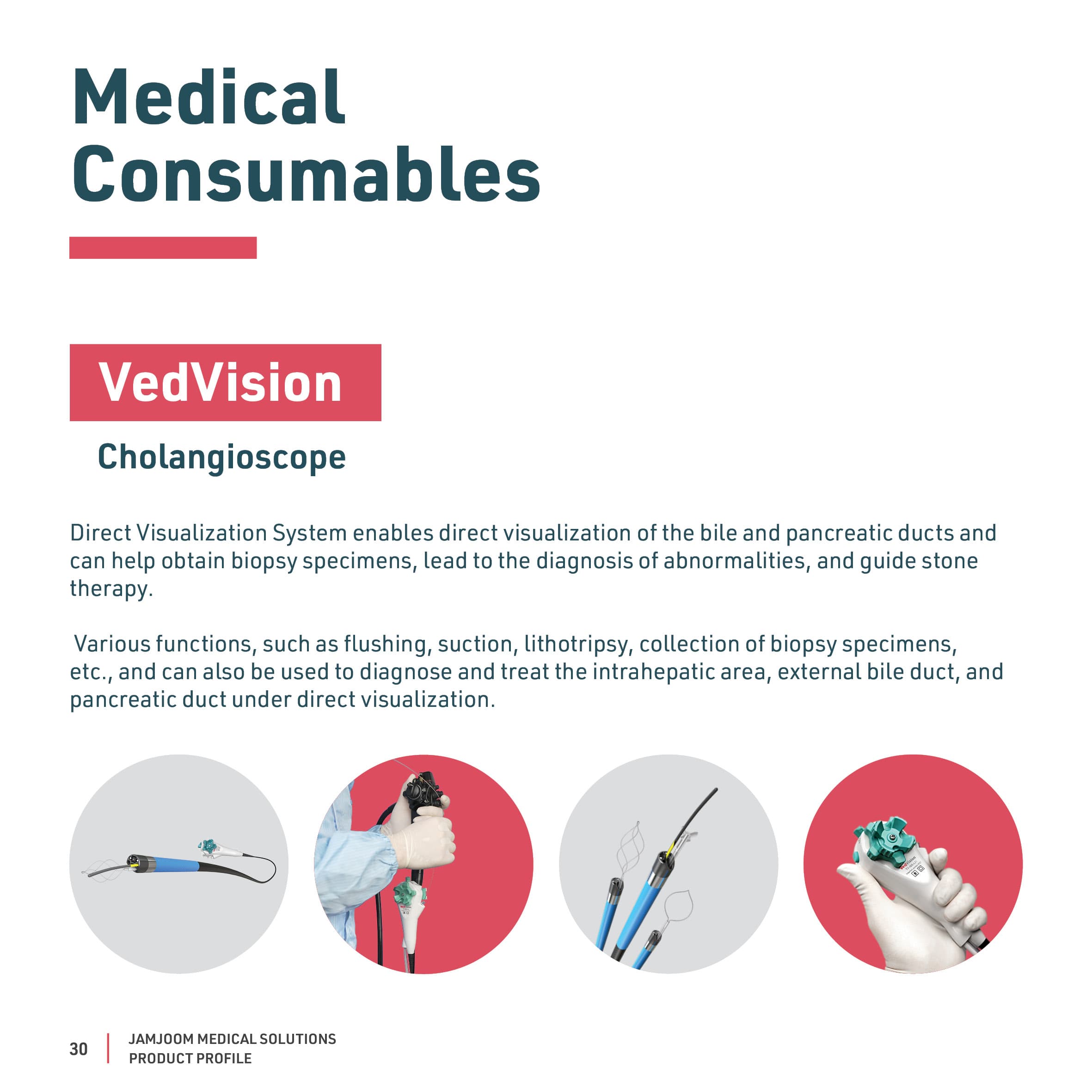 VedVision Cholangioscope catalogue profile from Vedkang.